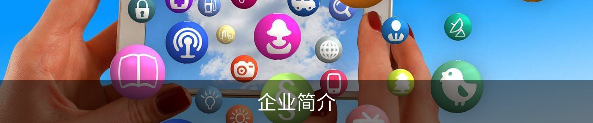 企业简介