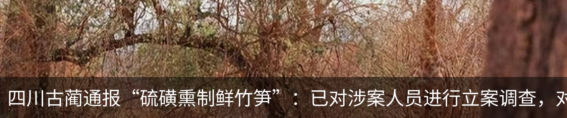 资讯动态