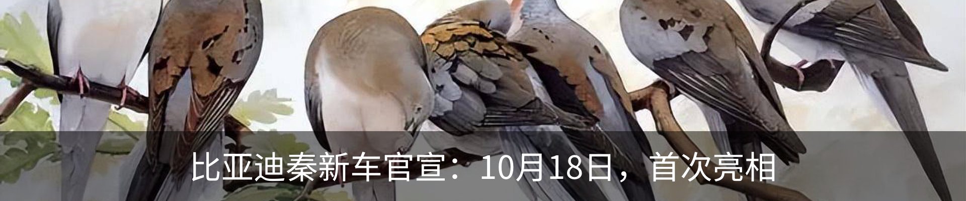 资讯动态